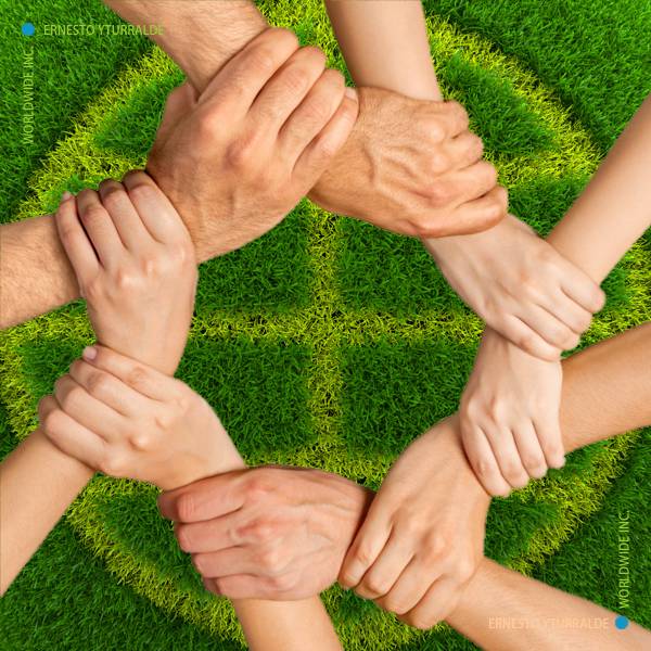 Team Building Ecuador Talleres de Cuerdas Bajas | Team Building Empresarial para el desarrollo de equipos de trabajo